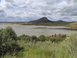 Flora del Cerro Masatrigo